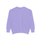 ADPI PASTEL- Comfort Colors sweatshirt