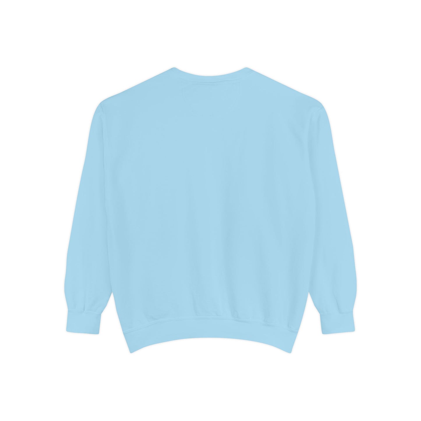 ADPI ORIGINAL COLOR comfort colors sweatshirt