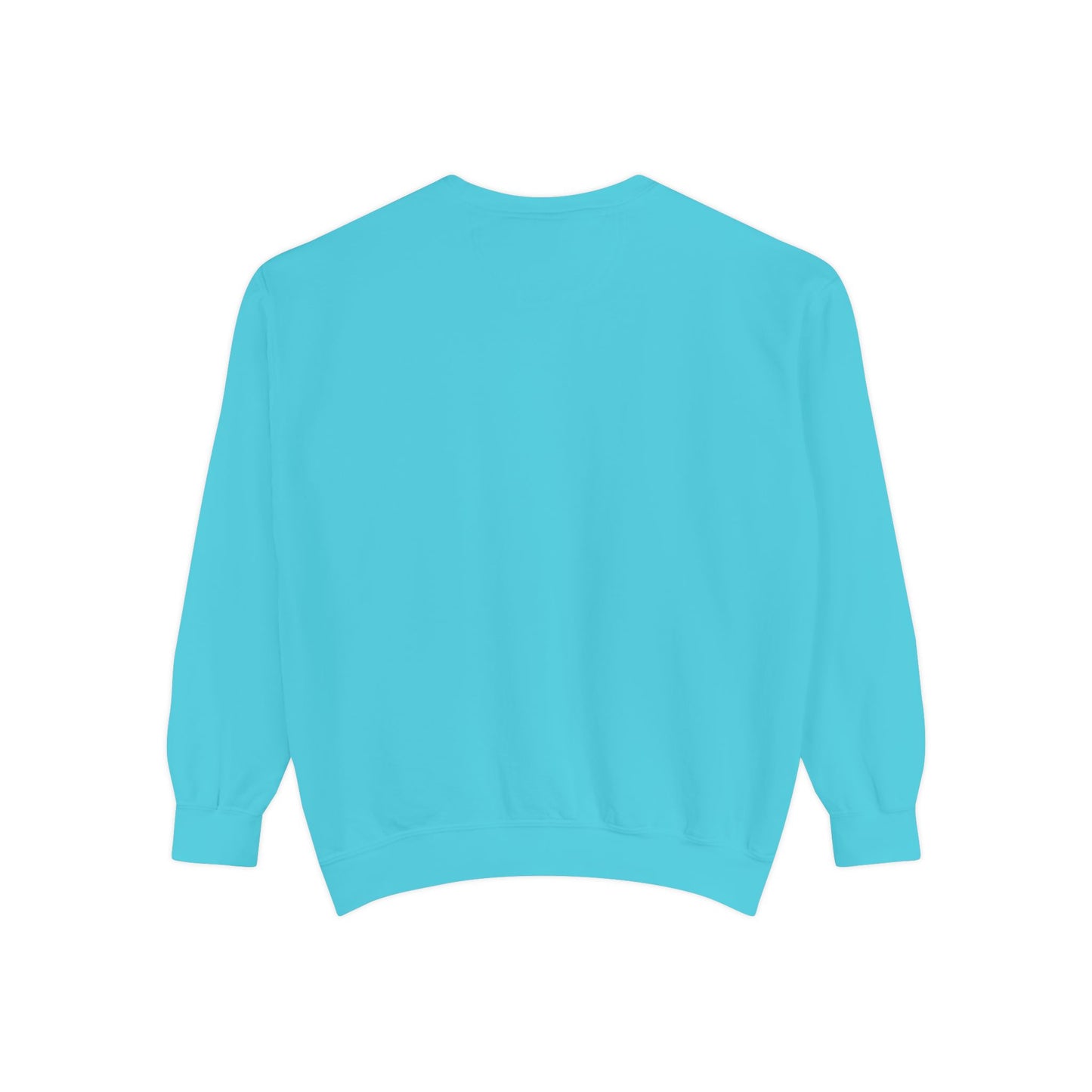 ADPI ORIGINAL COLOR comfort colors sweatshirt